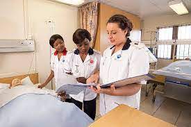 Standerton Hospital Nursing School Online Application 2024-2025 - ZA INFO