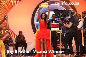 Big Brother Mzansi Winner 2024-2025 - Top Information Portal